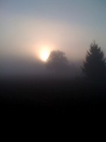 Sonnenaufgang_mit_Nebel.jpg