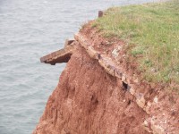 helgoland-06-10-10-056.jpg