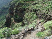 gomera-guarimia.jpg