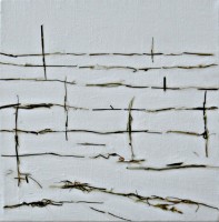 Grasbild1.JPG